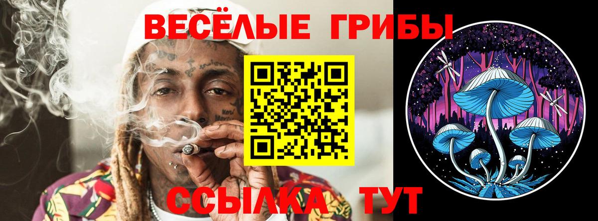 Камышин  Галлюциногенные грибы мицелий  Галлюциногенные грибы Psilocybe  Вход с VPN 