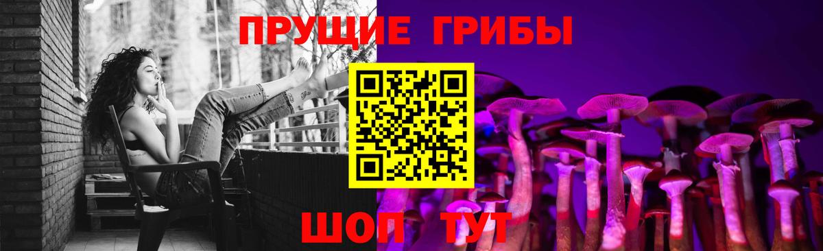 Галлюциногенные грибы Magic Shrooms Камышин